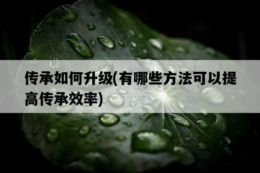傳承如何升級，有哪些方法可以提高傳承效率-圖1