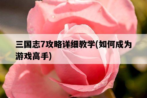 三國志7攻略詳細教學，如何成為游戲高手-圖1
