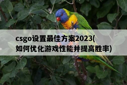 csgo設置最佳方案2023，如何優化游戲性能并提高勝率-圖1