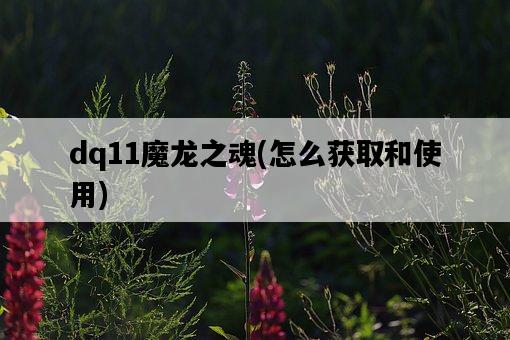 dq11魔龍之魂，怎么獲取和使用-圖1