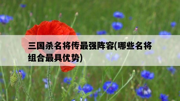三國殺名將傳最強陣容，哪些名將組合最具優勢-圖1