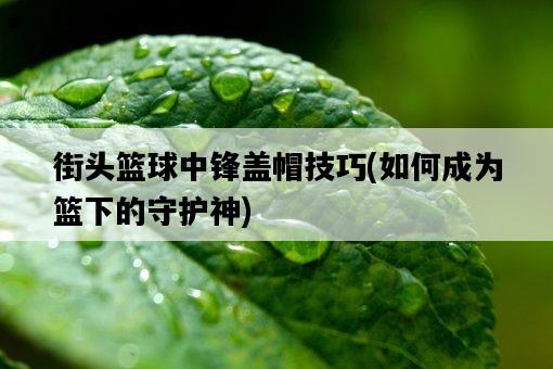 街頭籃球中鋒蓋帽技巧，如何成為籃下的守護神-圖1