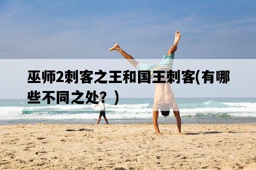 巫師2刺客之王和國王刺客，有哪些不同之處？-圖1