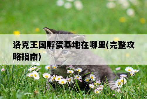 洛克王國孵蛋基地在哪里，完整攻略指南-圖1