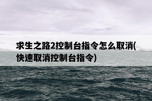 求生之路2控制臺指令怎么取消，快速取消控制臺指令-圖1