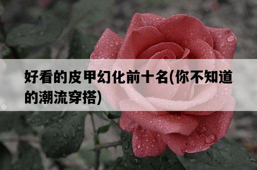 好看的皮甲幻化前十名，你不知道的潮流穿搭-圖1