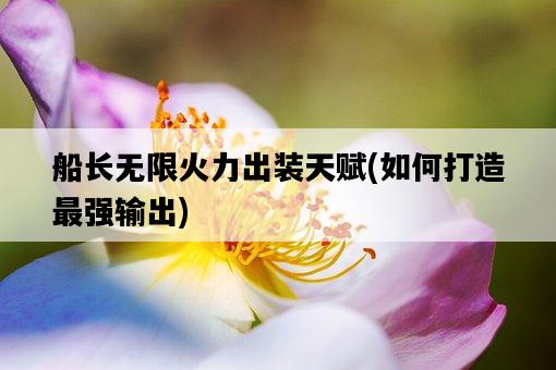 船長無限火力出裝天賦,如何打造最強輸出-圖1 船長無限火力出裝天賦,如何打造最強輸出-圖1