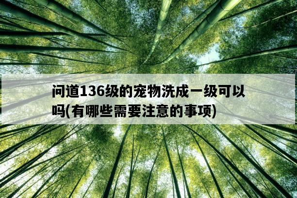 問道136級的寵物洗成一級可以嗎，有哪些需要注意的事項-圖1