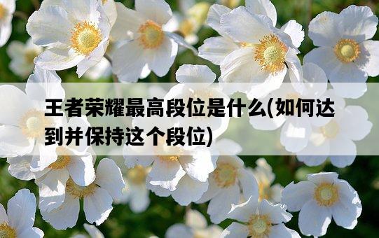 王者榮耀最高段位是什么,如何達到并保持這個段位-圖1 王者榮耀最高段位是什么,如何達到并保持這個段位-圖1