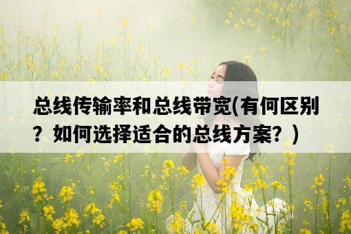 總線傳輸率和總線帶寬，有何區別？如何選擇適合的總線方案？-圖1