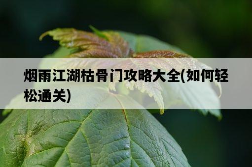 煙雨江湖枯骨門攻略大全，如何輕松通關-圖1