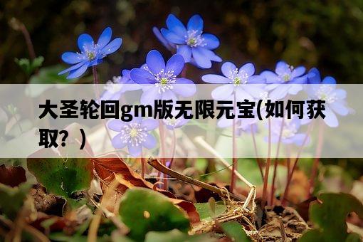 大圣輪回gm版無限元寶，如何獲取？-圖1