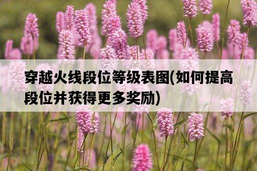 穿越火線段位等級表圖，如何提高段位并獲得更多獎勵-圖1