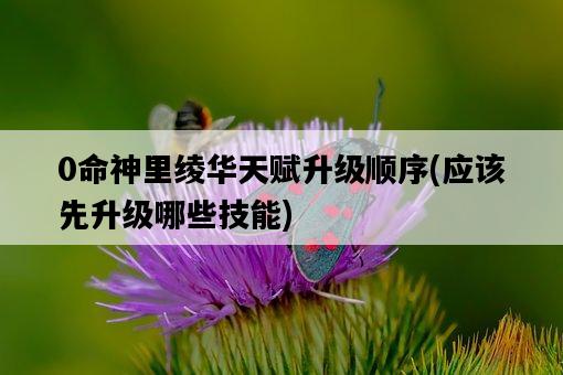 0命神里綾華天賦升級順序，應該先升級哪些技能-圖1
