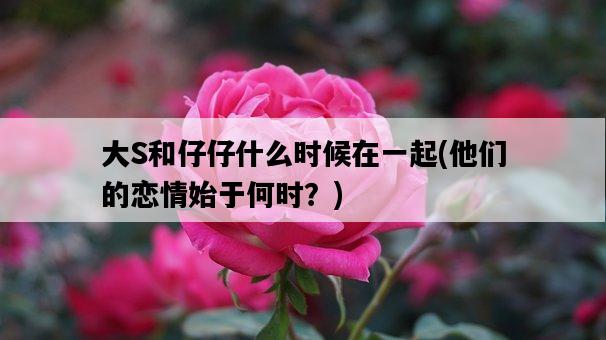 大S和仔仔什么時候在一起，他們的戀情始于何時？-圖1
