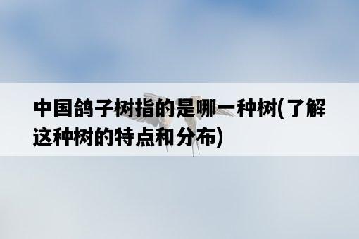 中國鴿子樹指的是哪一種樹，了解這種樹的特點和分布-圖1