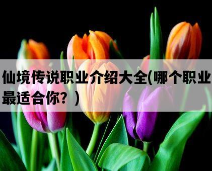 仙境傳說職業介紹大全，哪個職業最適合你？-圖1