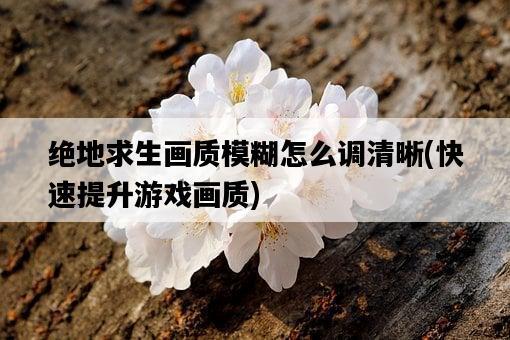 絕地求生畫質模糊怎么調清晰，快速提升游戲畫質-圖1