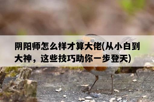 陰陽師怎么樣才算大佬，從小白到大神，這些技巧助你一步登天-圖1