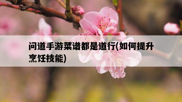 問道手游菜譜都是道行，如何提升烹飪技能-圖1