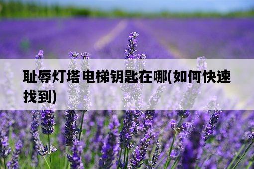 恥辱燈塔電梯鑰匙在哪，如何快速找到-圖1