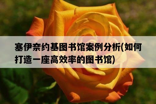 塞伊奈約基圖書館案例分析，如何打造一座高效率的圖書館-圖1