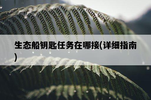 生態船鑰匙任務在哪接，詳細指南-圖1