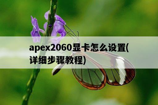 apex2060顯卡怎么設置，詳細步驟教程-圖1