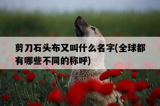 剪刀石頭布又叫什么名字，全球都有哪些不同的稱呼-圖1