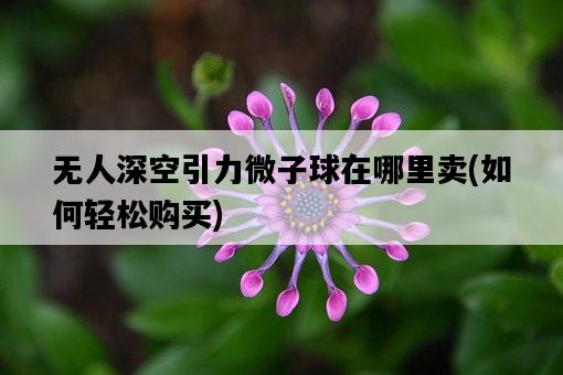 無人深空引力微子球在哪里賣，如何輕松購買-圖1