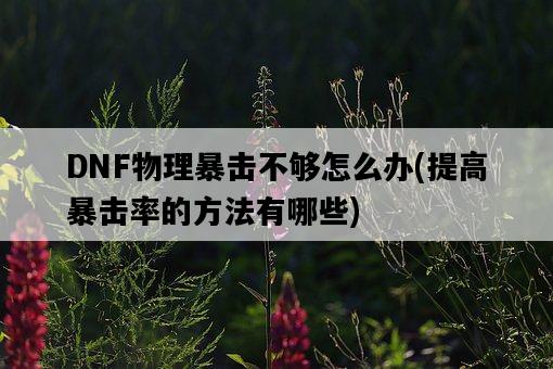 DNF物理暴擊不夠怎么辦，提高暴擊率的方法有哪些-圖1