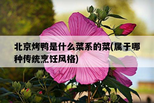 北京烤鴨是什么菜系的菜，屬于哪種傳統烹飪風格-圖1