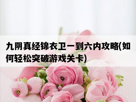 九陰真經錦衣衛一到六內攻略，如何輕松突破游戲關卡-圖1