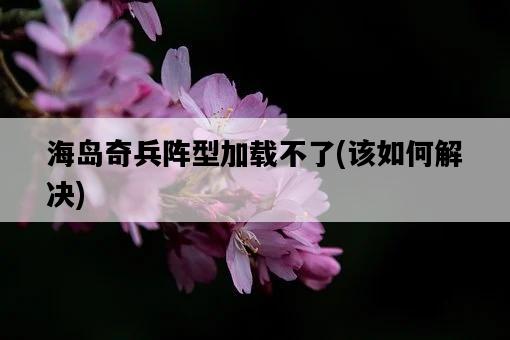 海島奇兵陣型加載不了，該如何解決-圖1