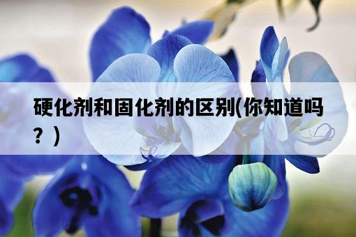 硬化劑和固化劑的區別，你知道嗎？-圖1