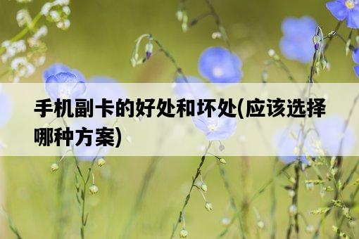 手機副卡的好處和壞處，應該選擇哪種方案-圖1