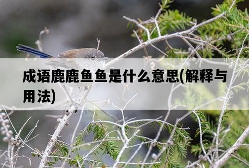 成語鹿鹿魚魚是什么意思，解釋與用法-圖1