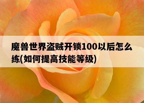魔獸世界盜賊開鎖100以后怎么練，如何提高技能等級-圖1