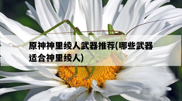 原神神里綾人武器推薦，哪些武器適合神里綾人-圖1