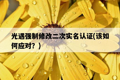光遇強制修改二次實名認證，該如何應對？-圖1