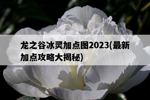 龍之谷冰靈加點圖2023，最新加點攻略大揭秘-圖1