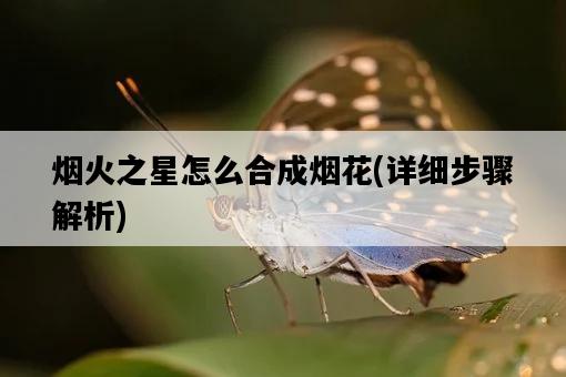 煙火之星怎么合成煙花，詳細步驟解析-圖1