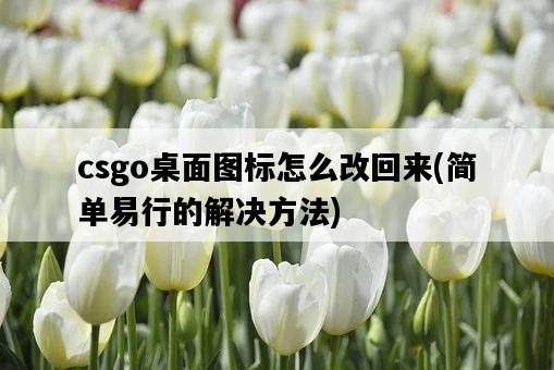csgo桌面圖標怎么改回來，簡單易行的解決方法-圖1