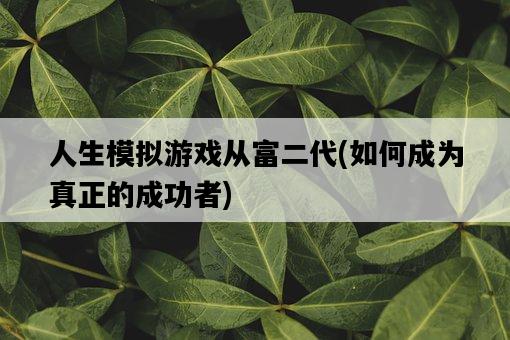 人生模擬游戲從富二代，如何成為真正的成功者-圖1