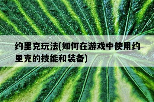約里克玩法，如何在游戲中使用約里克的技能和裝備-圖1