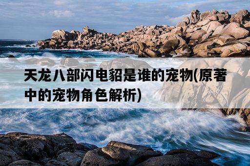 天龍八部閃電貂是誰的寵物，原著中的寵物角色解析-圖1