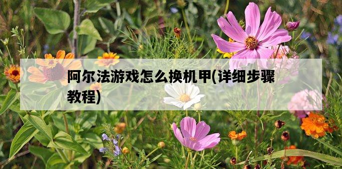 阿爾法游戲怎么換機甲，詳細步驟教程-圖1