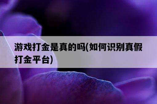 游戲打金是真的嗎，如何識別真假打金平臺-圖1