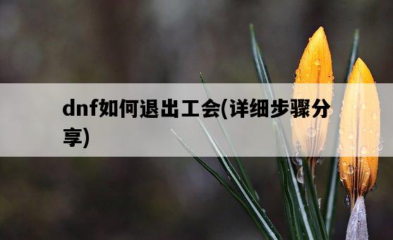 dnf如何退出工會，詳細步驟分享-圖1