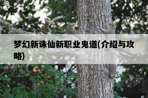 夢幻新誅仙新職業鬼道，介紹與攻略-圖1